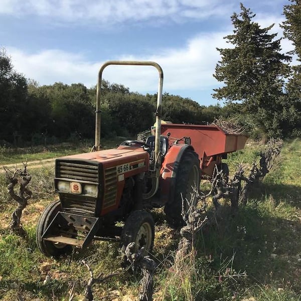 Domaine Yoan Rega - Yoan Rega