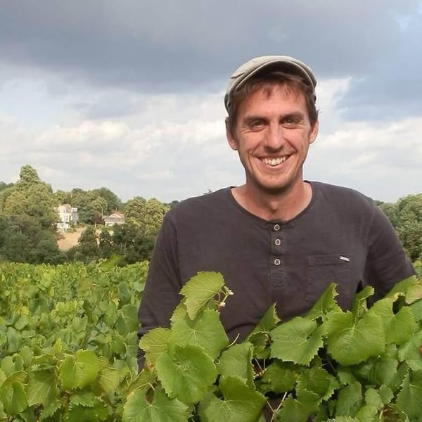 Les Vins Jardinés - Yoann Gillot
