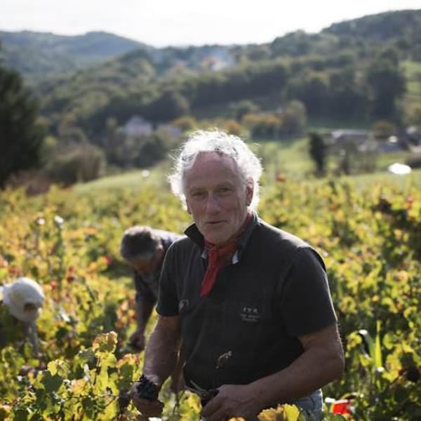 Vigne De Signols - Yvan-Marie Ruffié