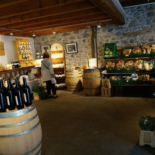 Domaine de la Mermière - Vins du Coin - Yves, Christophe & Justine Batardon