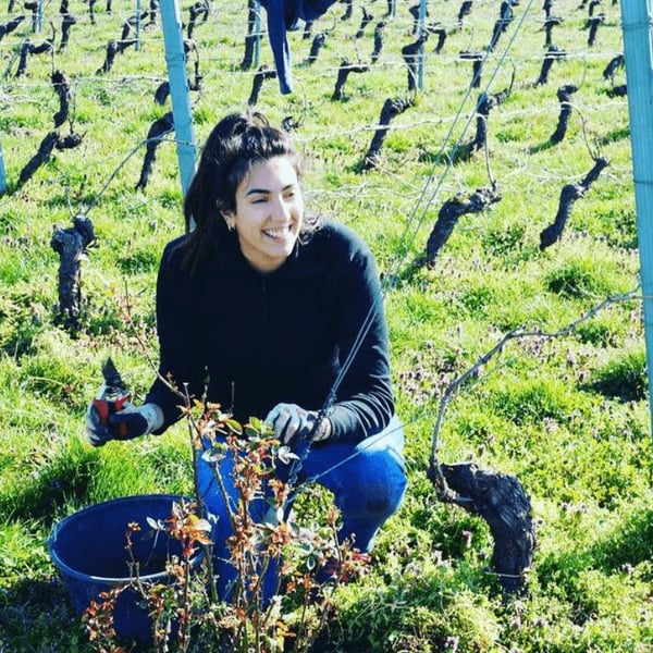 Domaine de la Mermière - Vins du Coin - Yves, Christophe & Justine Batardon