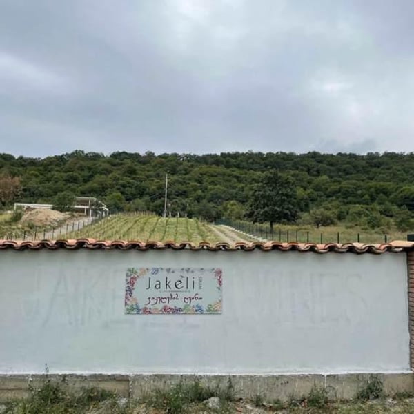 Jakeli Wines - Zaza & Mariam Jakeli