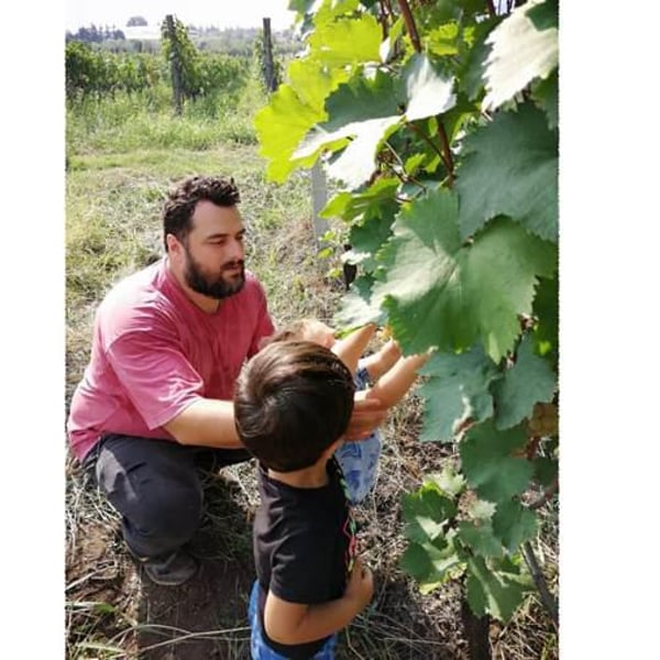 Khvtisia Wines - Zurab Khvtisiashvili