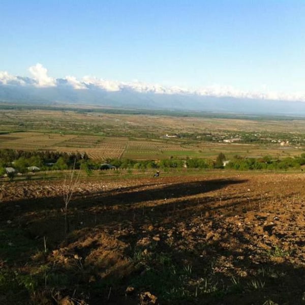 Nikalas Marani - Zurab Mghvdliashvili