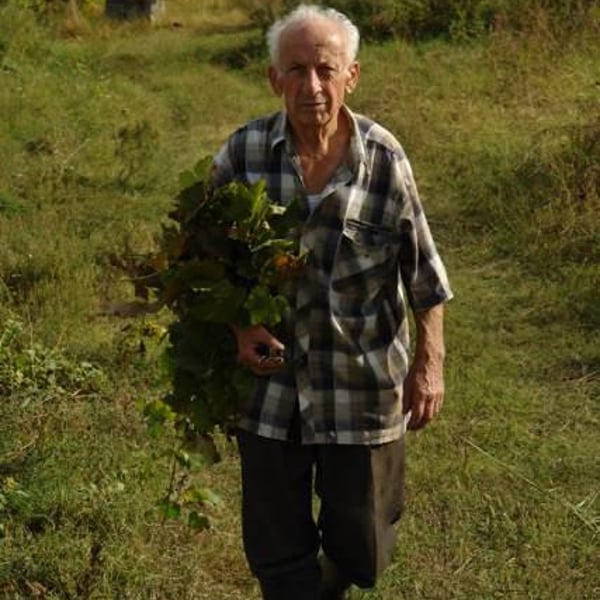 Georgian Wine Heritage - Zurab Zatuashvili
