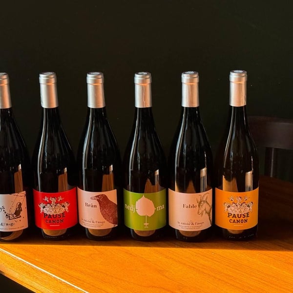 Polly wine bar 1297208