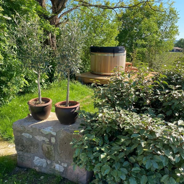 Les vins de Rouyré 915155