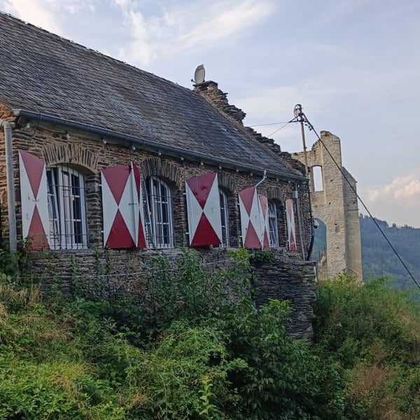 Griffins auf der Grevenburg 944490