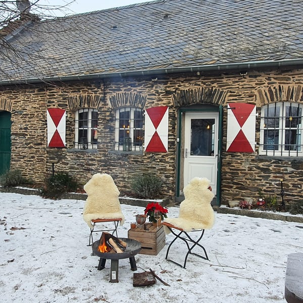 Griffins auf der Grevenburg 944499