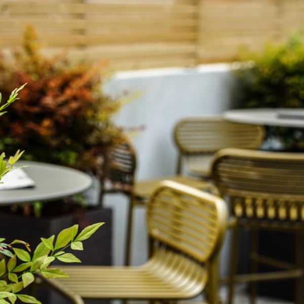 VERTIGO CAFÉ 1307445