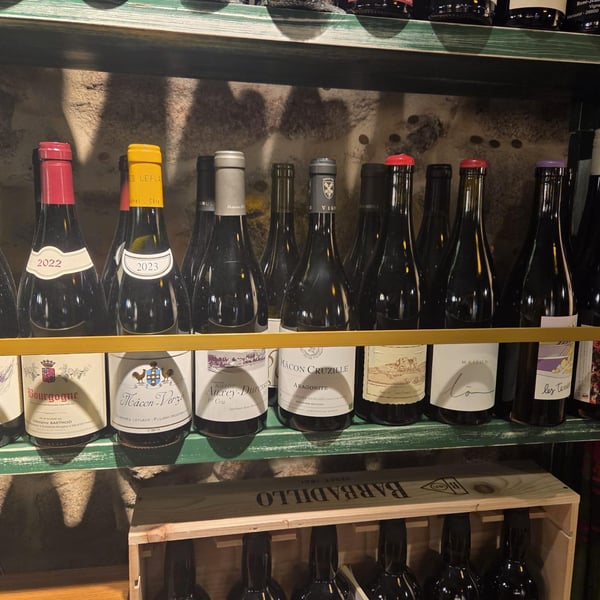 Taberna A Filoxera 970901