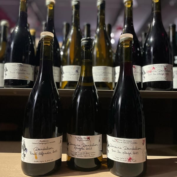 Bar Enoteca Castello 855198