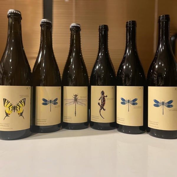 Bar Enoteca Castello 855199