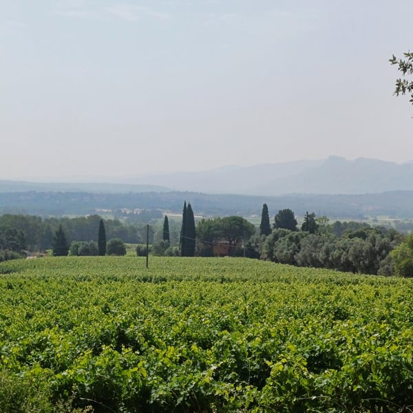 Terres d’Esclans 920653