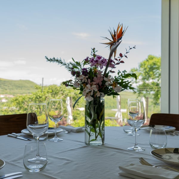 Generi di Conforto 924083