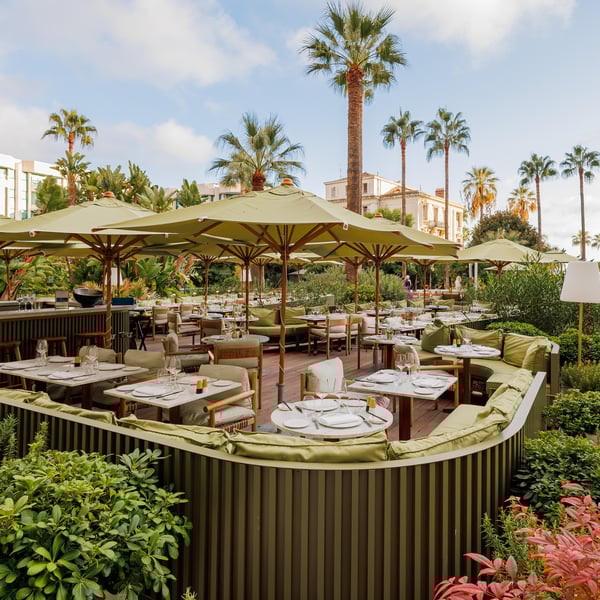 Mr. Nakamoto 1301386