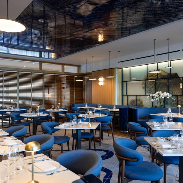 Mr. Nakamoto 1301395