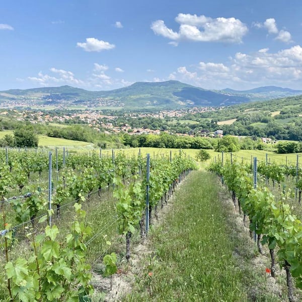 Elsa Provenzale & Géraud Dubuis