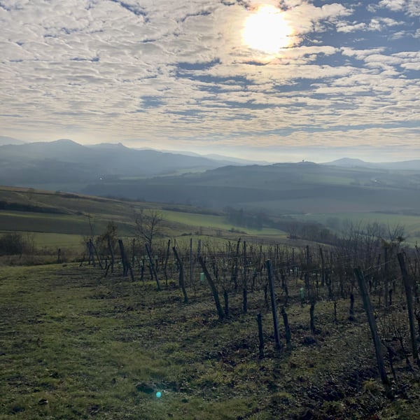 Elsa Provenzale & Géraud Dubuis