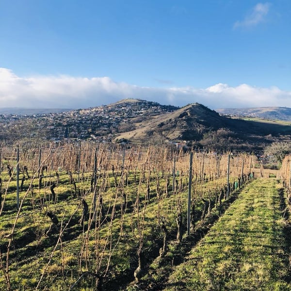 Elsa Provenzale & Géraud Dubuis