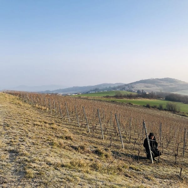 Elsa Provenzale & Géraud Dubuis