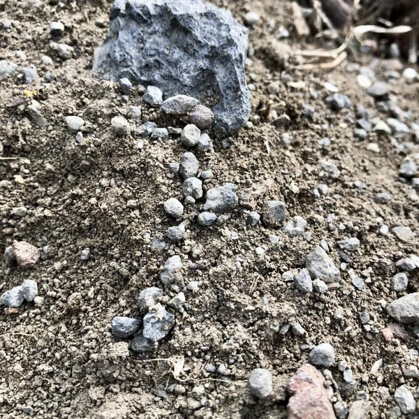 Domaine Lapilli - Elsa Provenzale & Géraud Dubuis