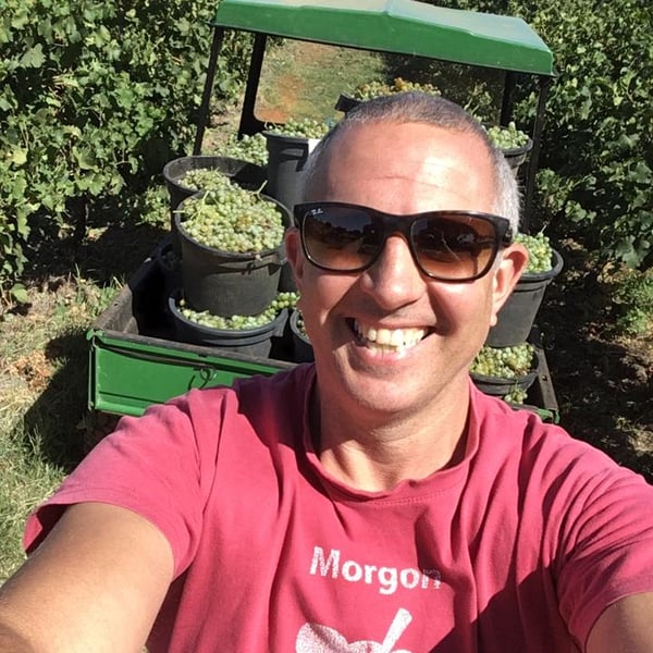 Wildman Wine - Tim Wildman