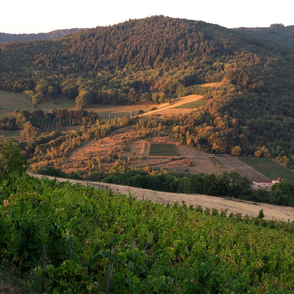 Adeline et Hervé Ravera
