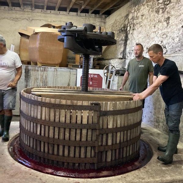 Le Grain de Sénevé - Adeline et Hervé Ravera