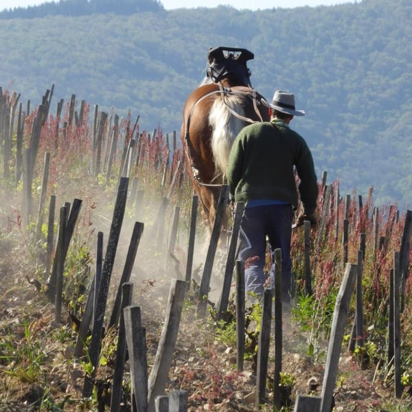 Adeline et Hervé Ravera