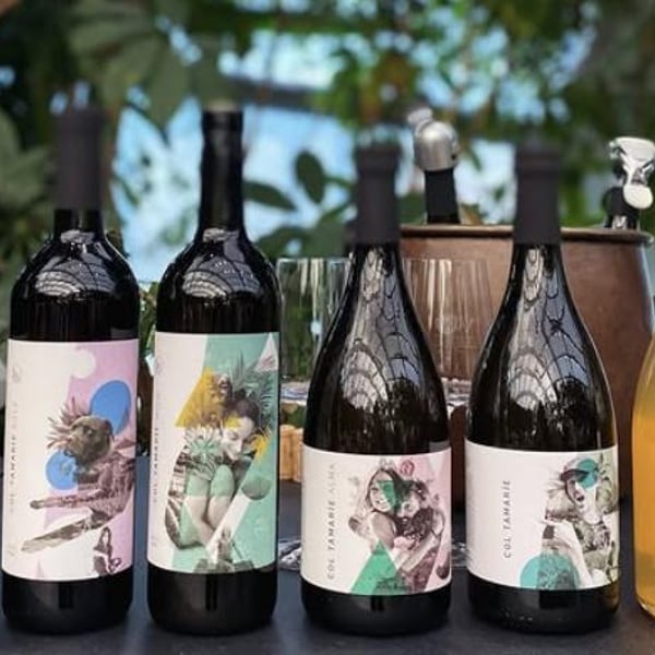 Col Tamarie - Alberto Dalle Crode