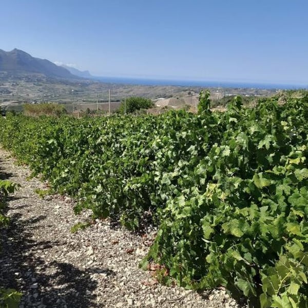Alberto & Núria Cirafici