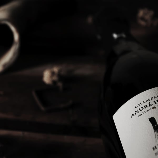 André et Fanny Heucq