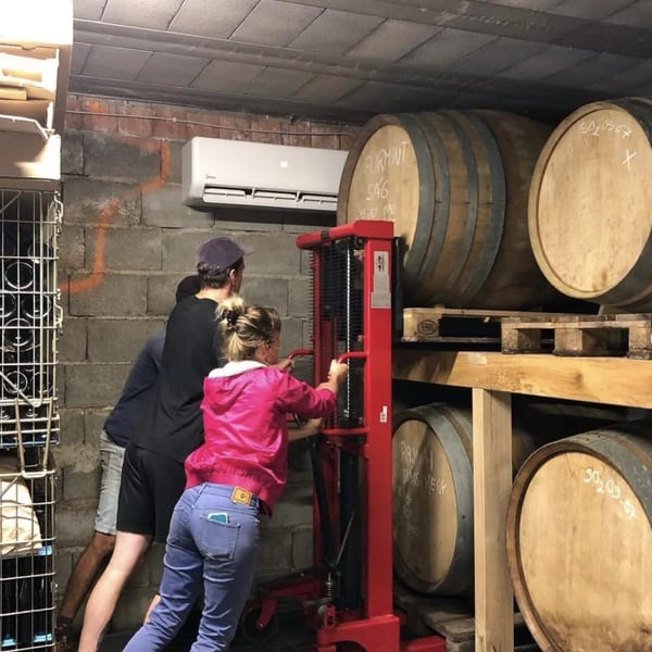 Annamaria Torok & Attila Francisti