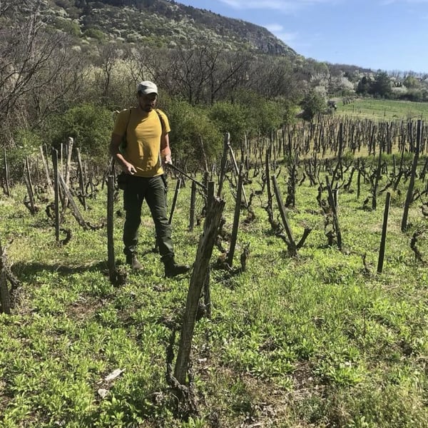 Annamaria Torok & Attila Francisti
