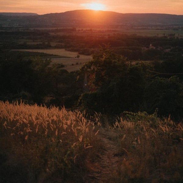 Kolonia 52 - Annamaria Torok & Attila Francisti