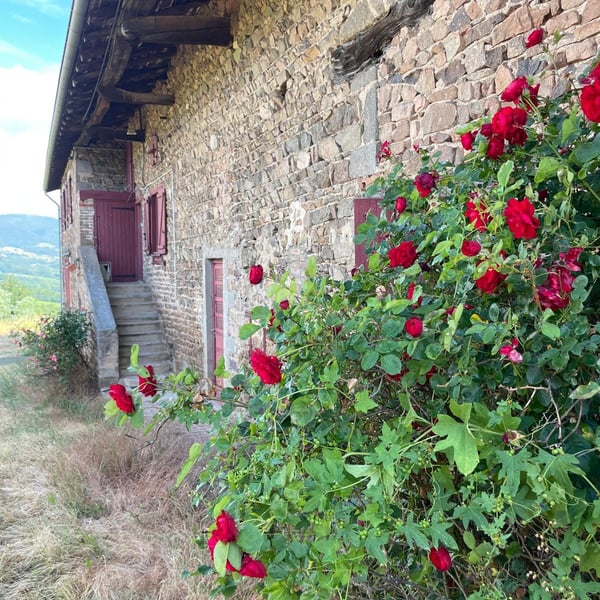 Antoine Vettes & Marie Aslanian