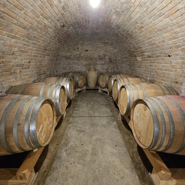 Kövesd Wine - Attila Sánta & Zoltán Varga