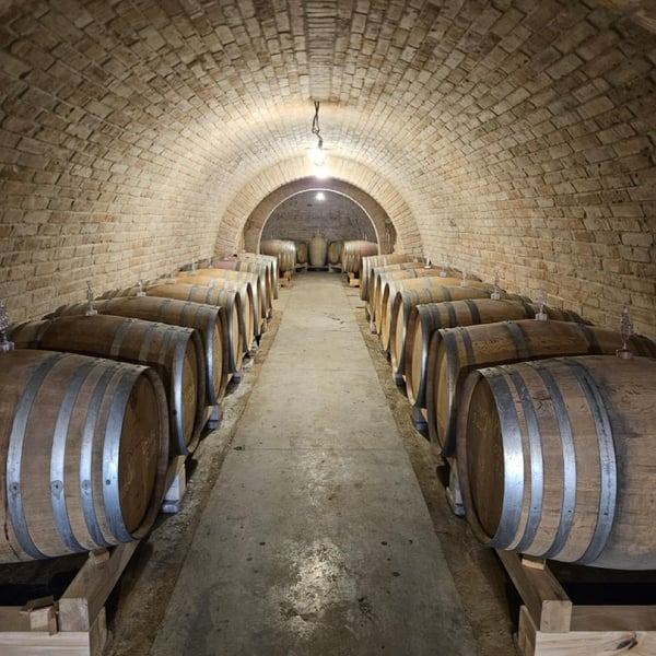 Kövesd Wine - Attila Sánta & Zoltán Varga