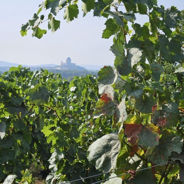 Attila Sánta & Zoltán Varga