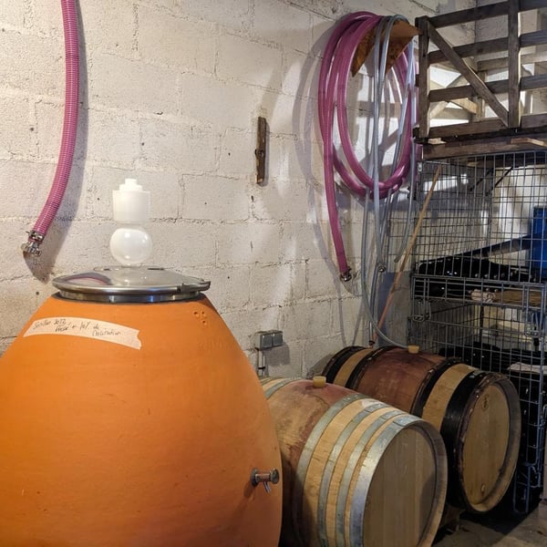 Le goût des autres - Aurélie Fried & Antoine Mazurier