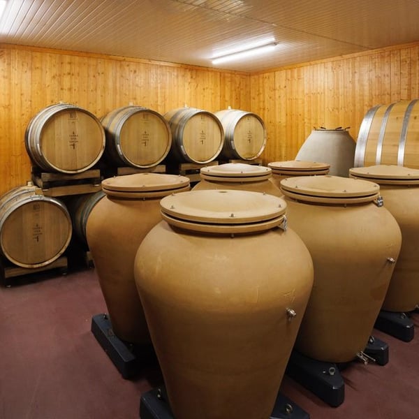 Bénédicte & Luc Briand