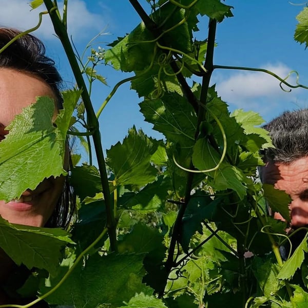 Domaine de l'Aubraine - Caroline & Thibaut Pariset