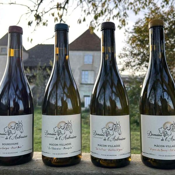 Caroline & Thibaut Pariset