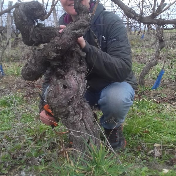 Cécile Routier & Jean Dubien