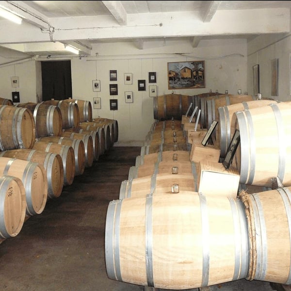 Christophe & Antoine Daviau