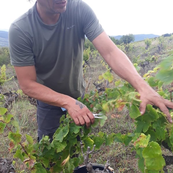Marc Sanchez Toha & Clémence Baudoin