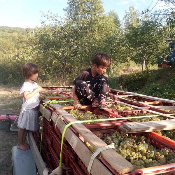 Marc Sanchez Toha & Clémence Baudoin