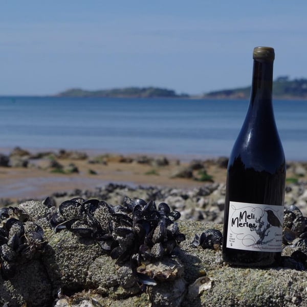 Marc Sanchez Toha & Clémence Baudoin