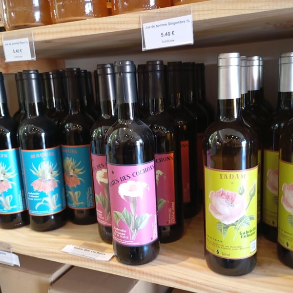 Coloane Silva Gabrielle